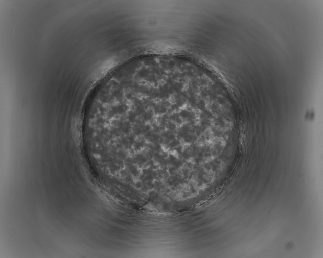 X0000094350679200711301402