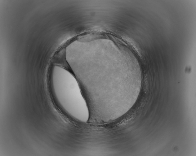 X0000094350680200711301402