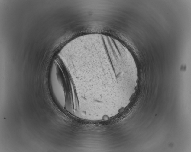 X0000094350681200711301402