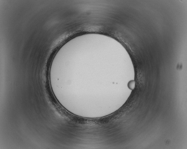 X0000094350682200711301402