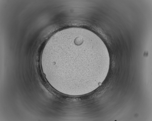 X0000094350683200711301402