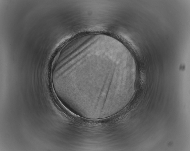 X0000094350684200711301402