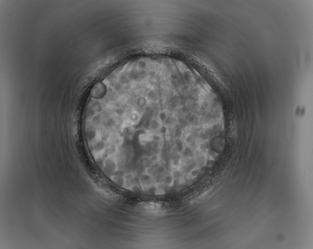 X0000094350687200711301402