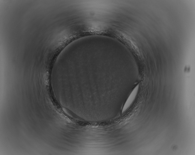 X0000094350689200711301402