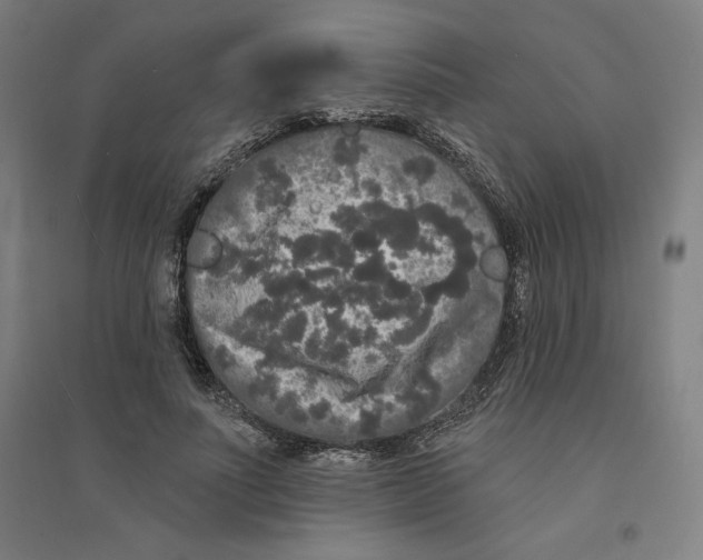 X0000094350691200711301402