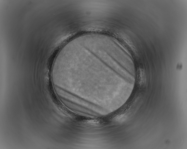 X0000094350692200711301402