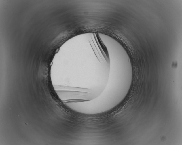X0000094350693200711301402
