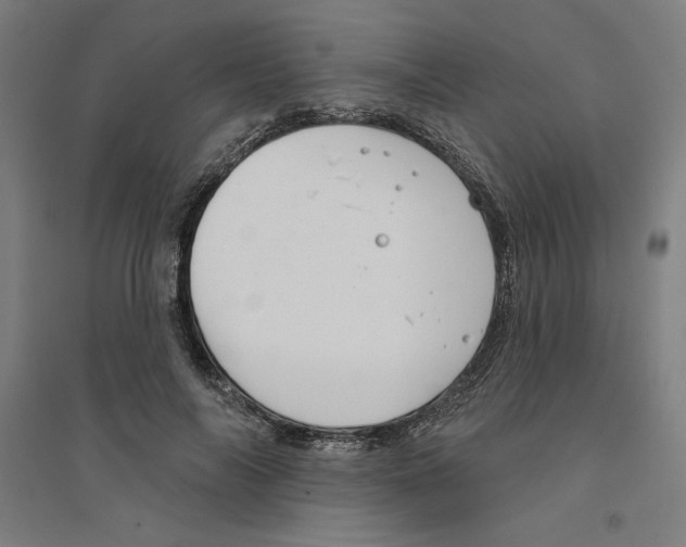 X0000094350694200711301402