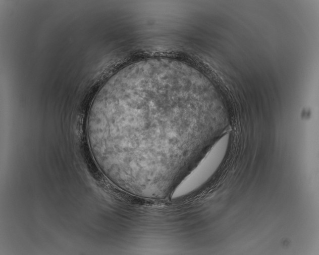 X0000094350695200711301402
