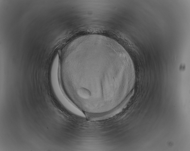 X0000094350696200711301402