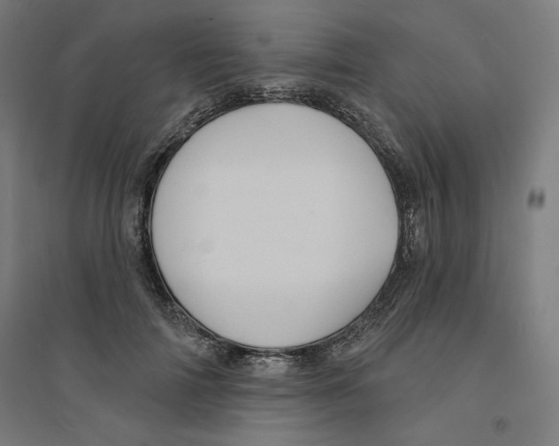 X0000094350698200711301402