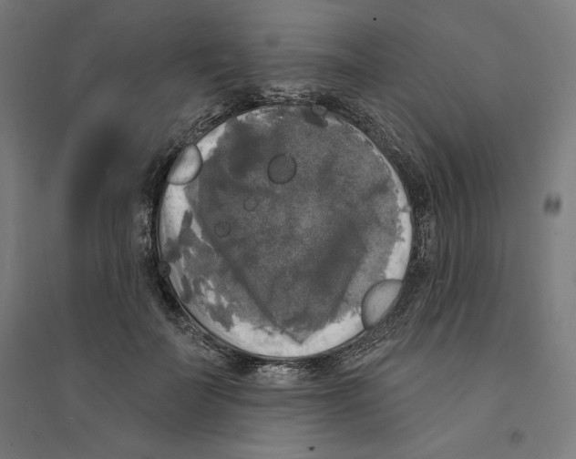 X0000094350699200711301402