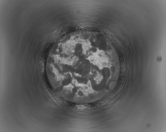 X0000094350703200711301402