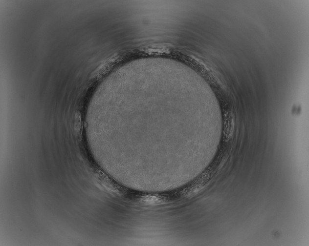 X0000094350704200711301402