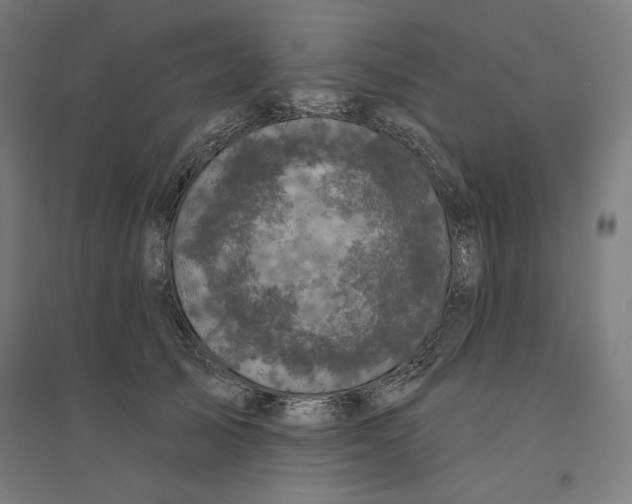 X0000094350705200711301402