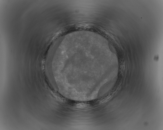 X0000094350708200711301402