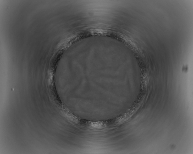 X0000094350709200711301402