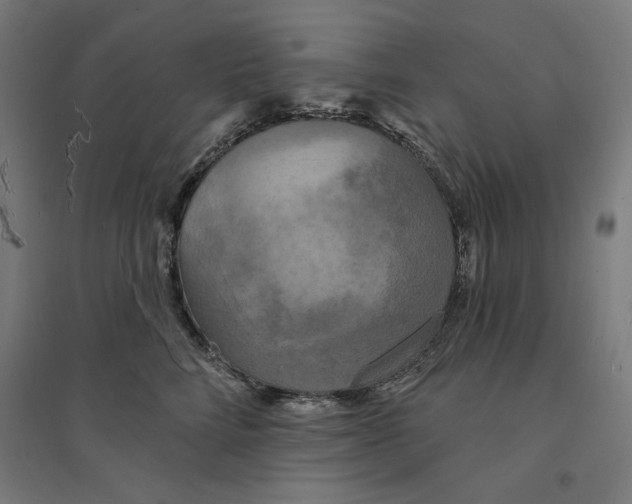 X0000094350712200711301401