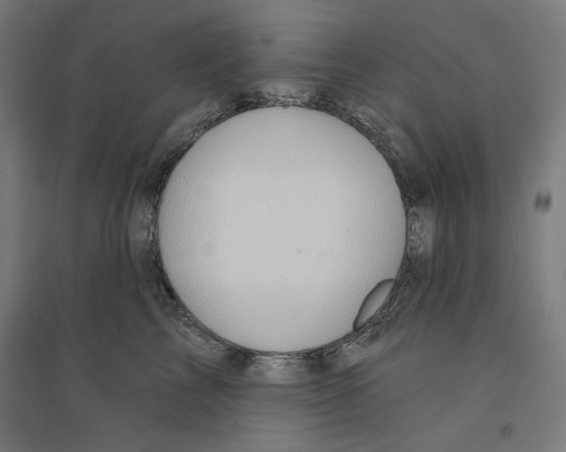 X0000094350713200711301401