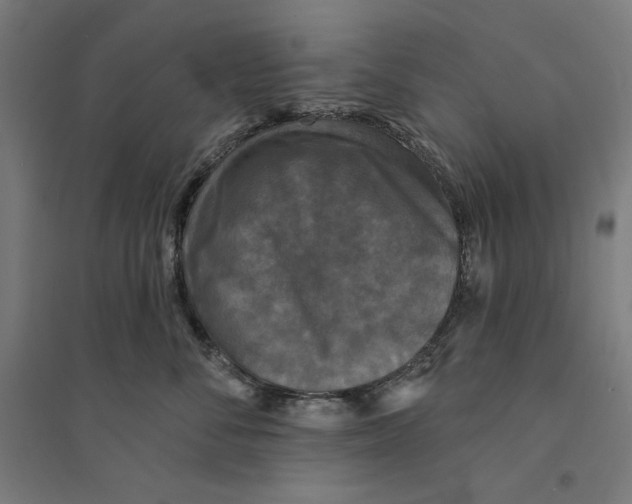 X0000094350716200711301401