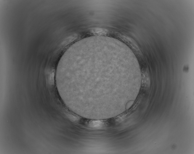 X0000094350717200711301401