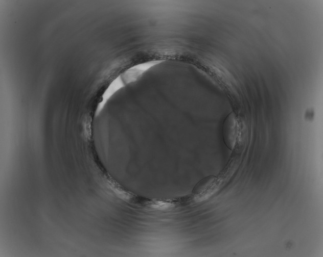 X0000094350718200711301401