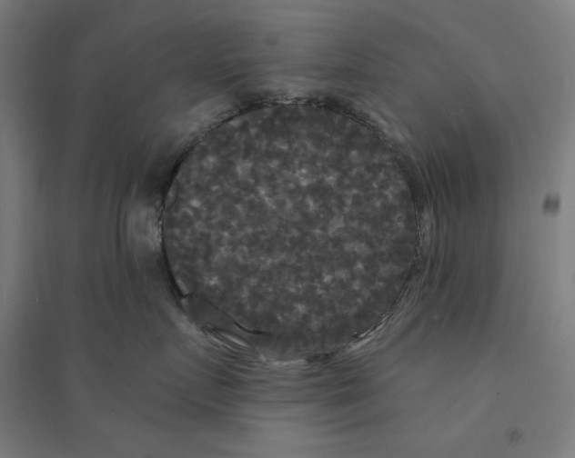 X0000094350719200711301401