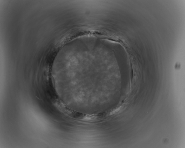 X0000094350720200711301401