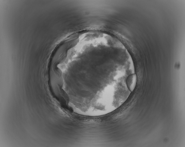 X0000094350721200711301401