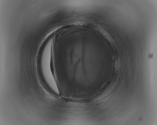 X0000094350722200711301401
