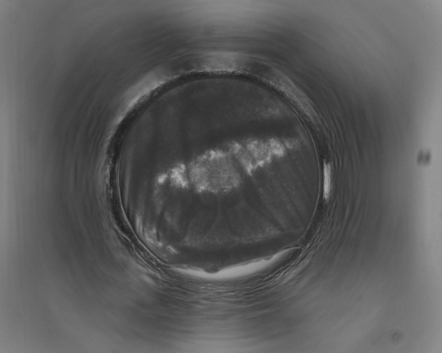 X0000094350723200711301401