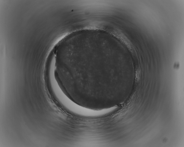 X0000094350724200711301401