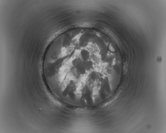 X0000094350725200711301401