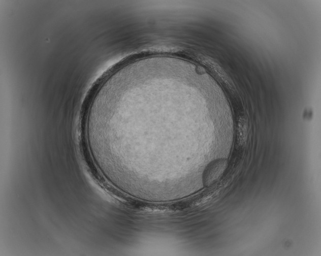 X0000094350726200711301401