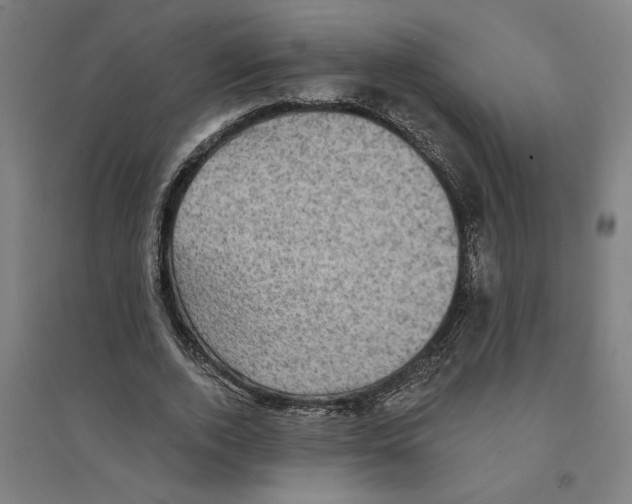 X0000094350728200711301401