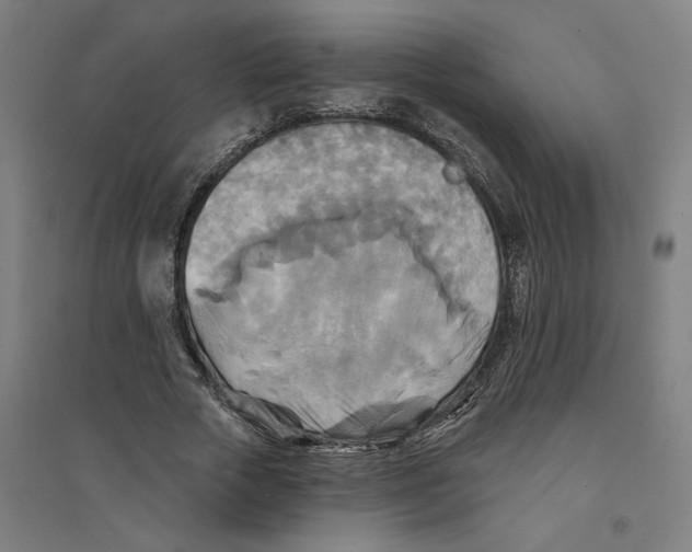 X0000094350729200711301401