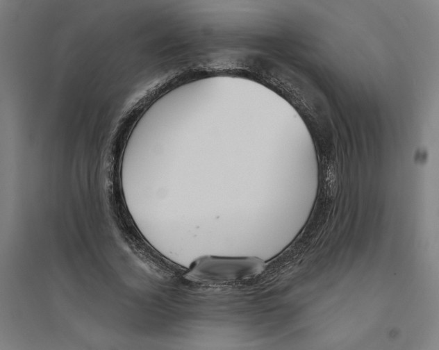 X0000094350732200711301401