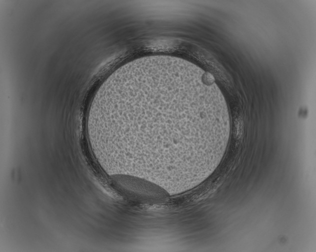 X0000094350733200711301401