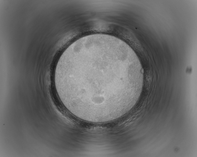 X0000094350734200711301401