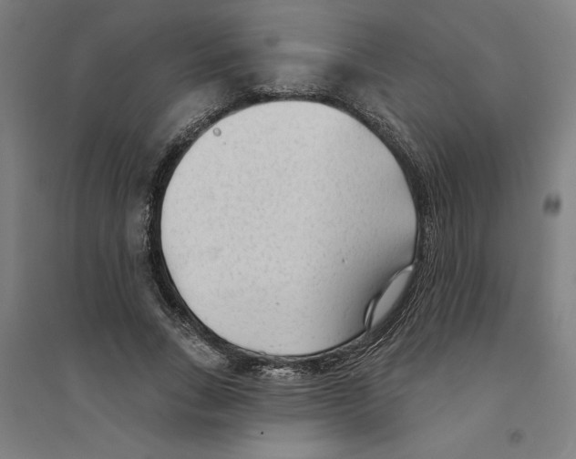 X0000094350735200711301401