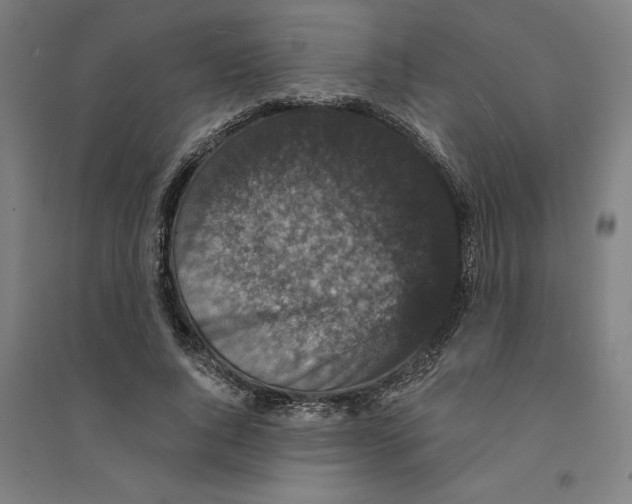 X0000094350736200711301401