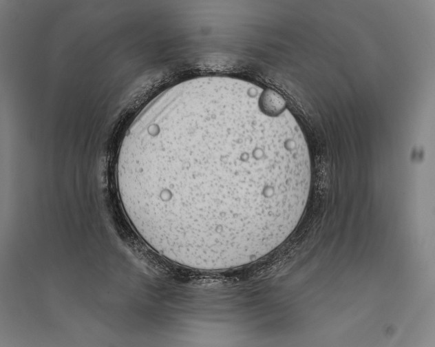 X0000094350738200711301401