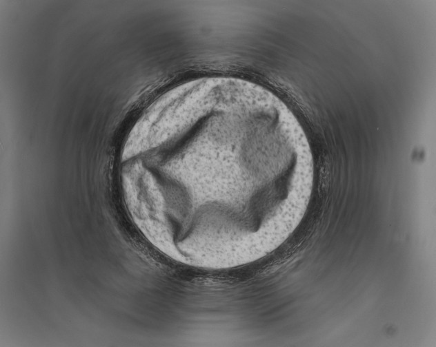 X0000094350739200711301401