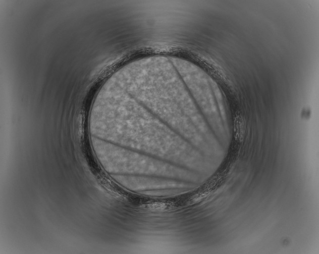 X0000094350740200711301401