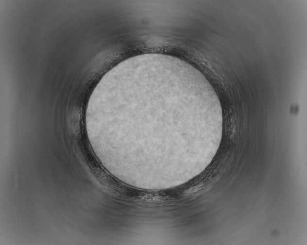 X0000094350742200711301401