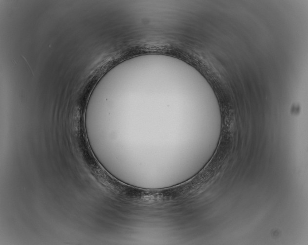 X0000094350744200711301401