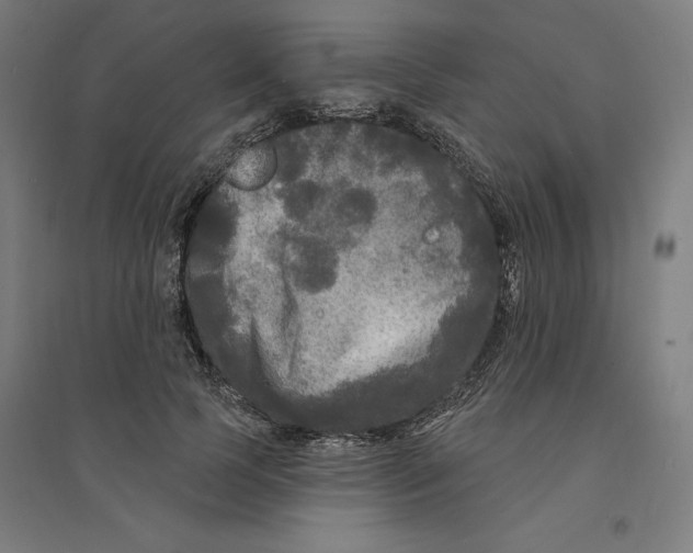 X0000094350745200711301401