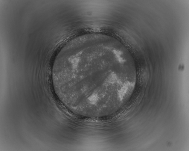 X0000094350747200711301401
