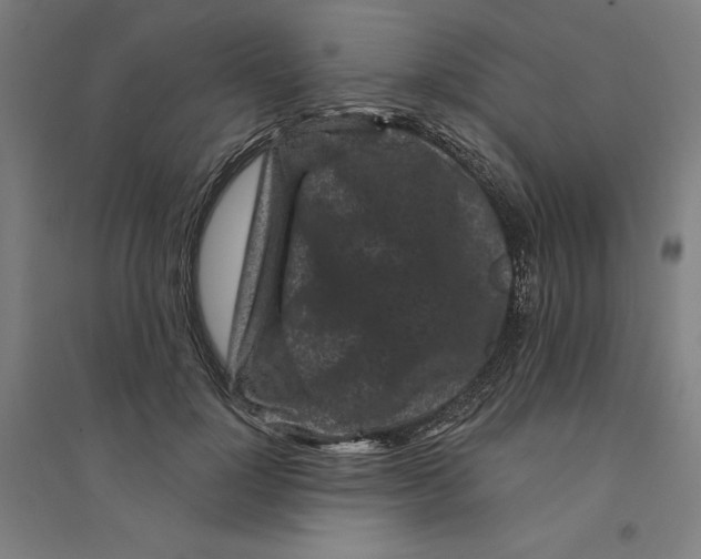 X0000094350748200711301401