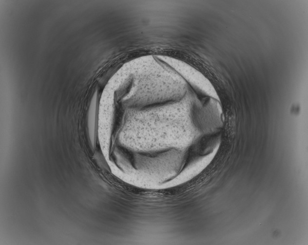 X0000094350750200711301401